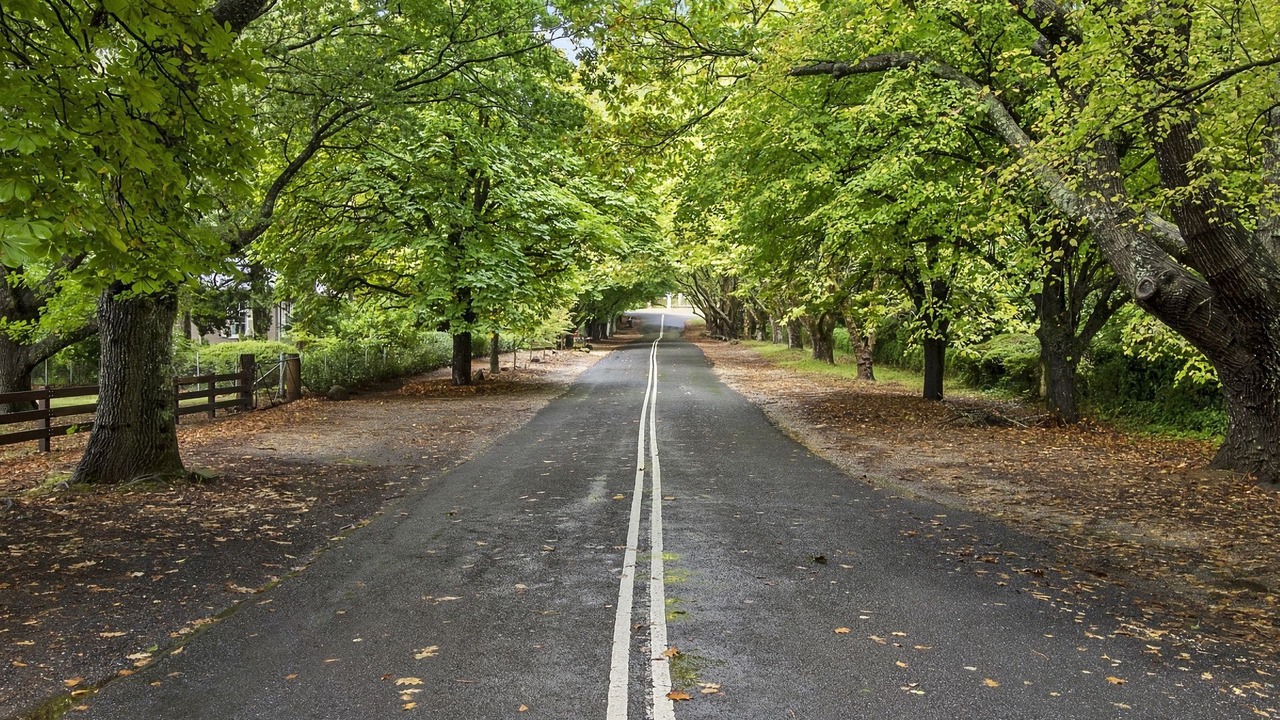 Photo of Outdoor in Mount Wilson