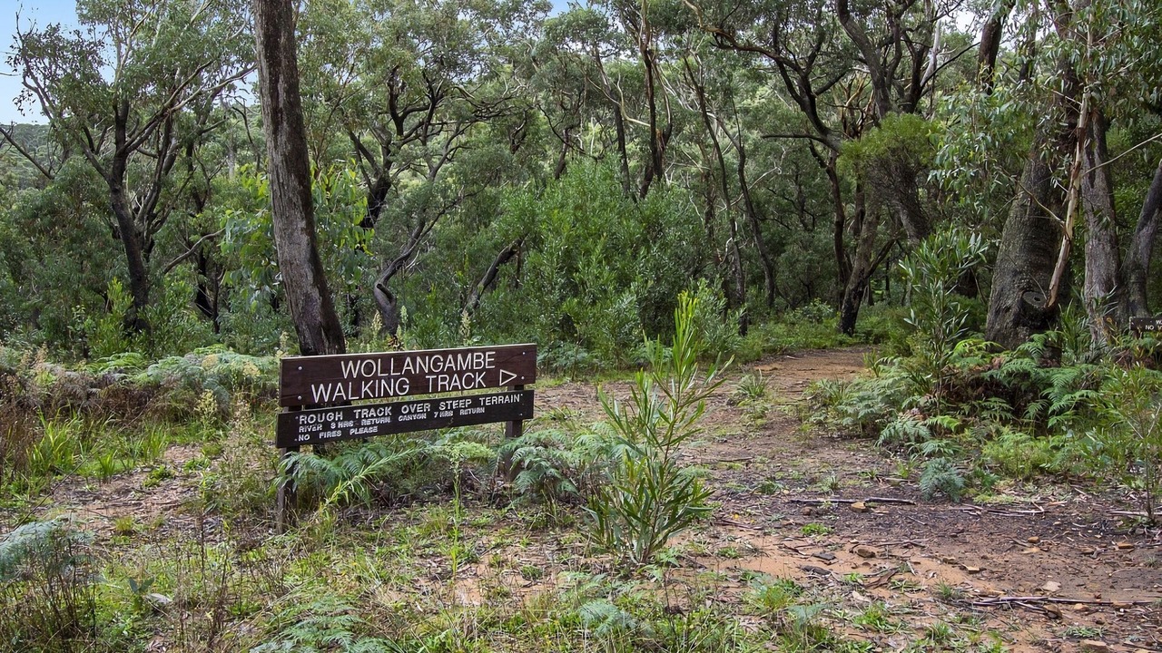 Photo of Outdoor in Mount Wilson