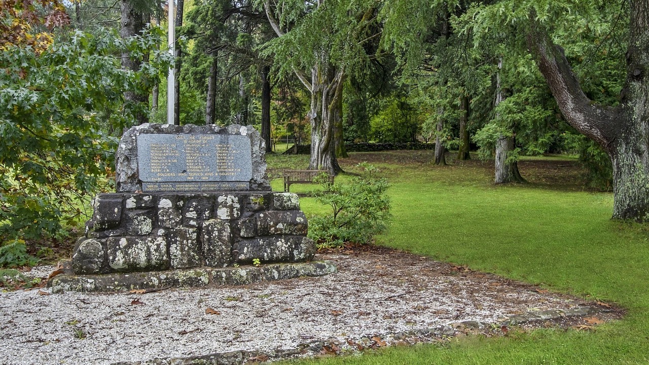 Photo of Outdoor in Mount Wilson