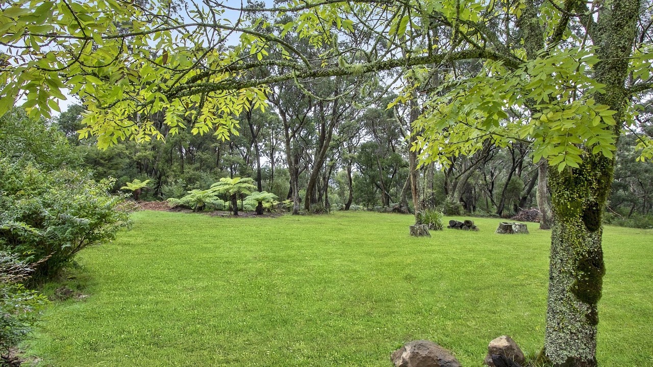 Photo of Outdoor in Mount Wilson