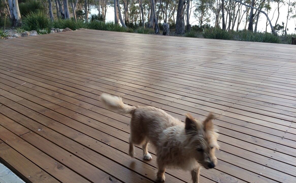 Photo of Outdoor in North Bruny
