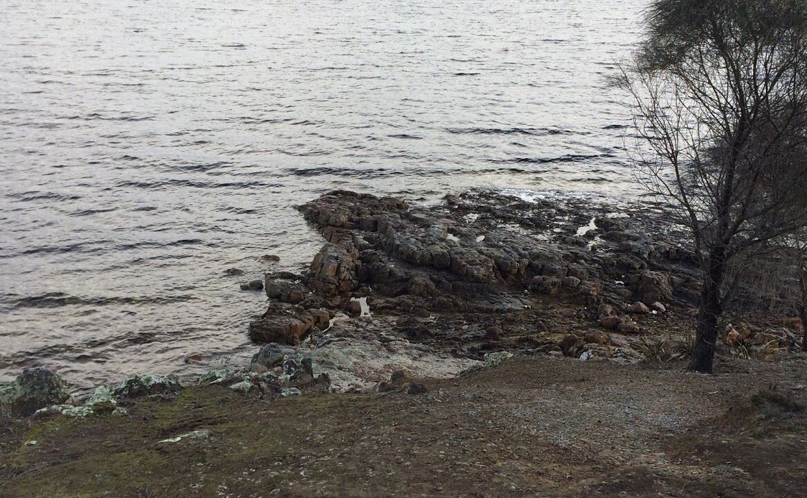 Photo of Others in North Bruny