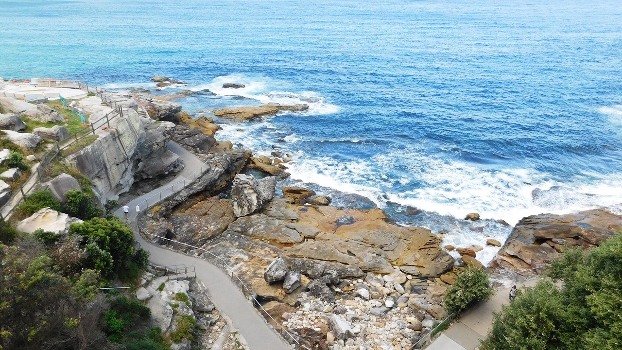 Photo of Others in Bondi