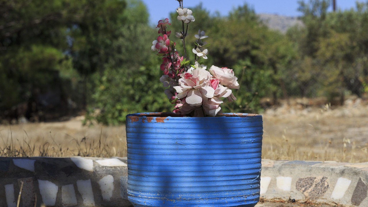 Photo of Outdoor in Pefkos