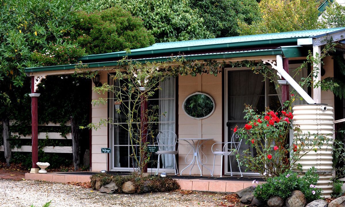 Photo of Outdoor in Musk