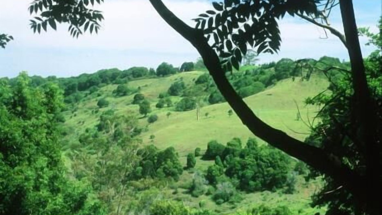 Photo of Others in Montville