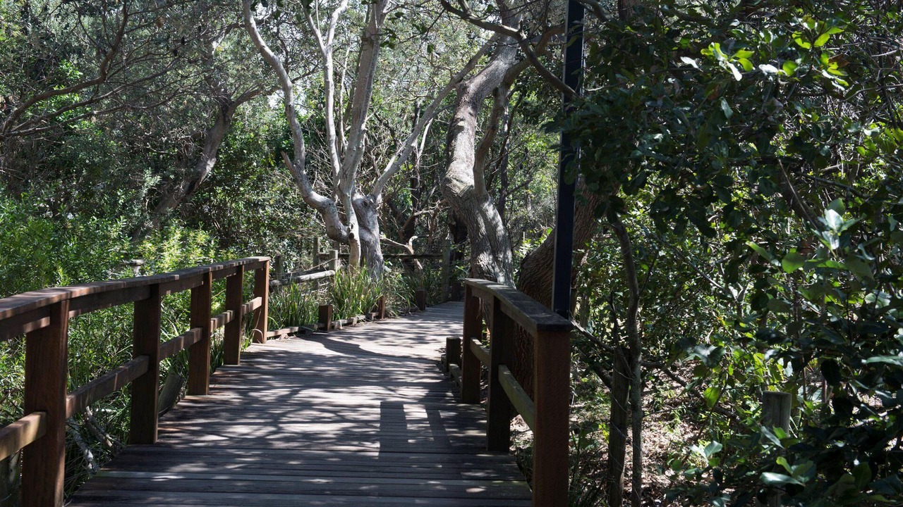 Photo of Outdoor in Mooloolaba
