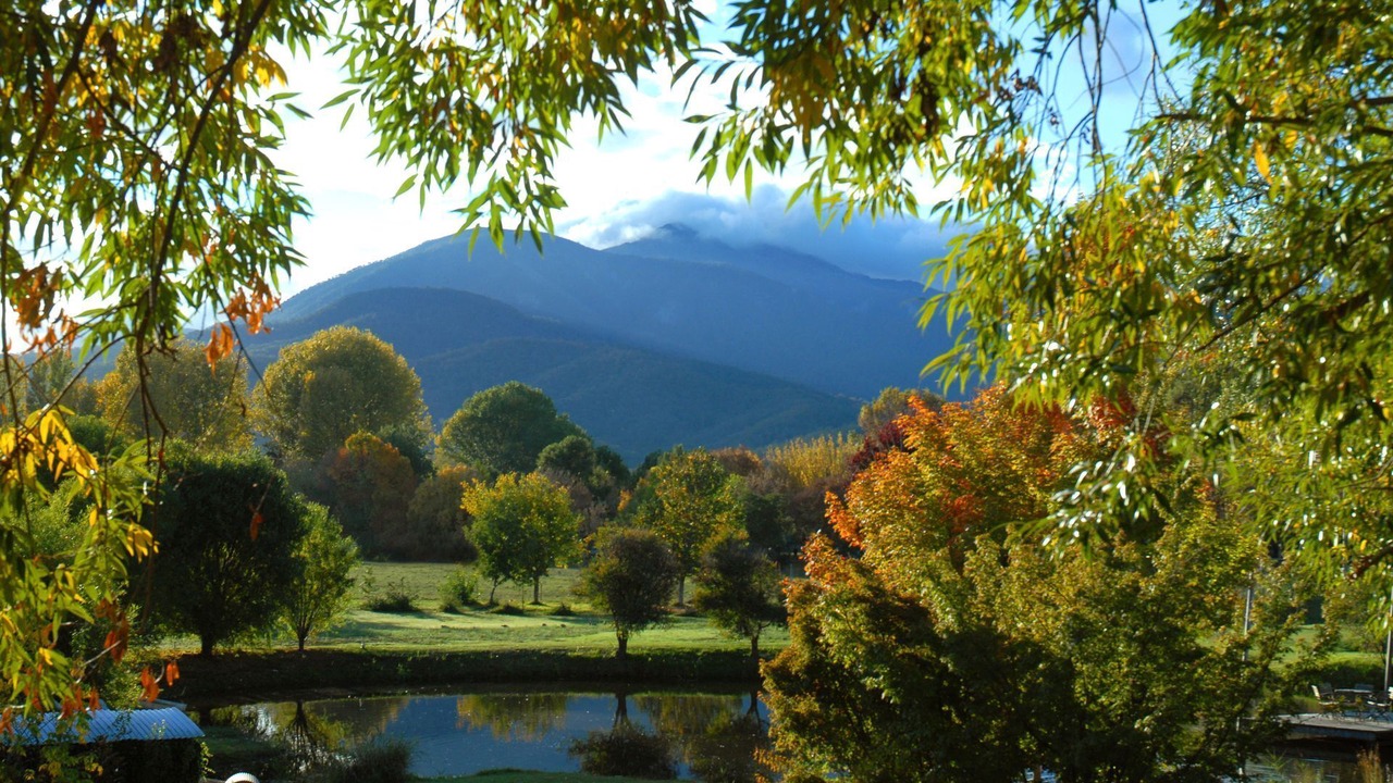 Photo of Outdoor in Tawonga South