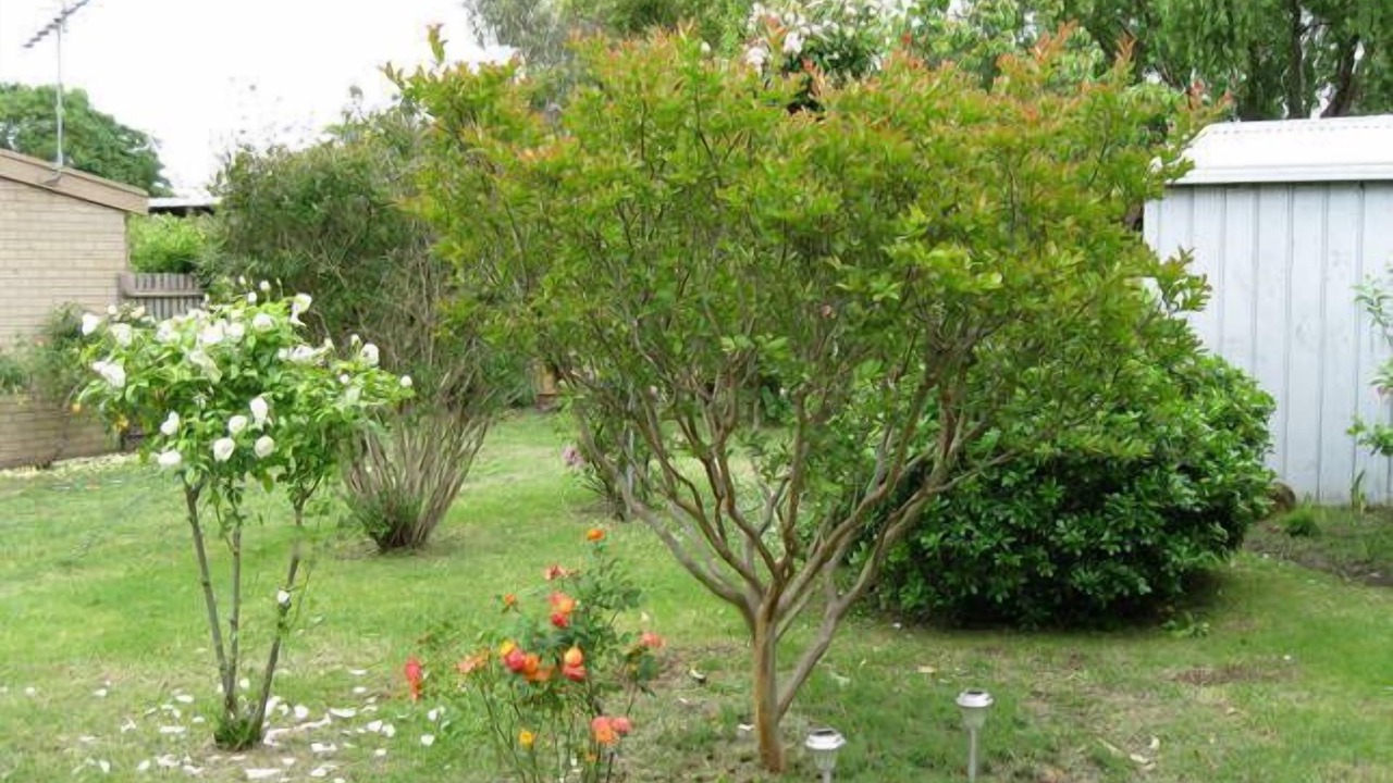 Photo of Outdoor in Point Lonsdale