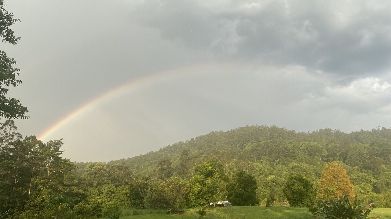 Photo of Outdoor in Nimbin