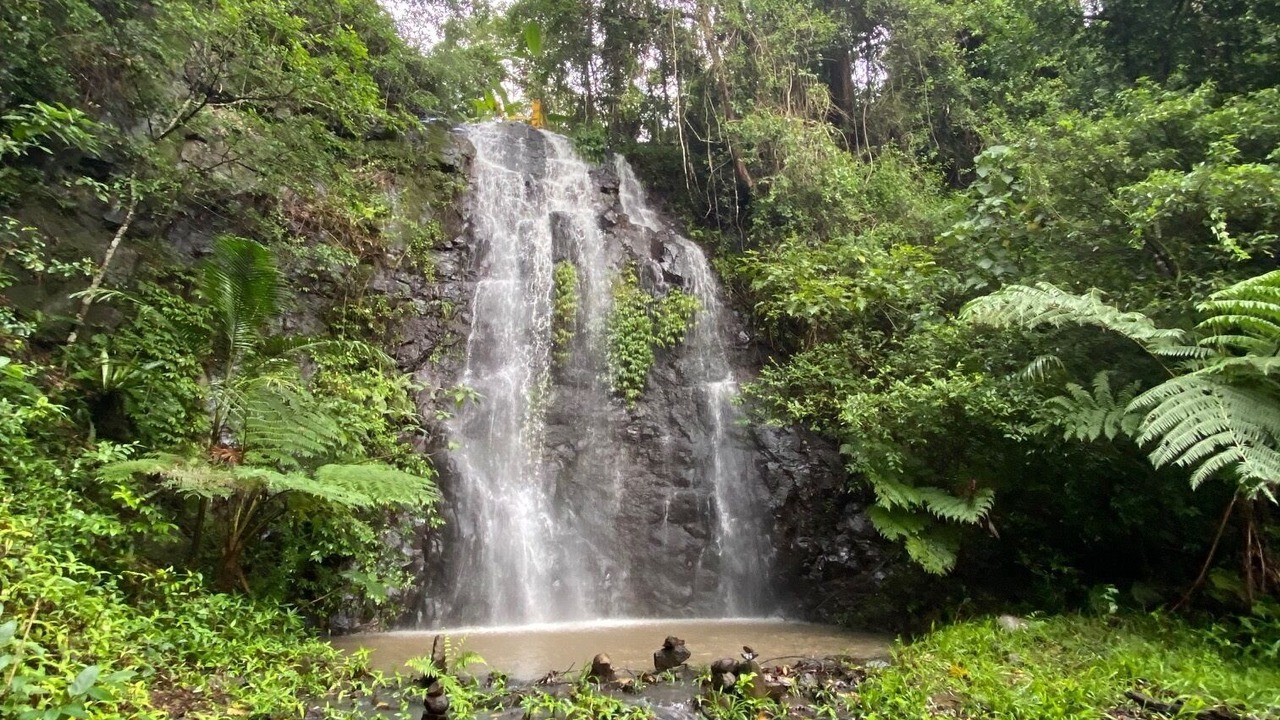 Photo of Outdoor in Nimbin