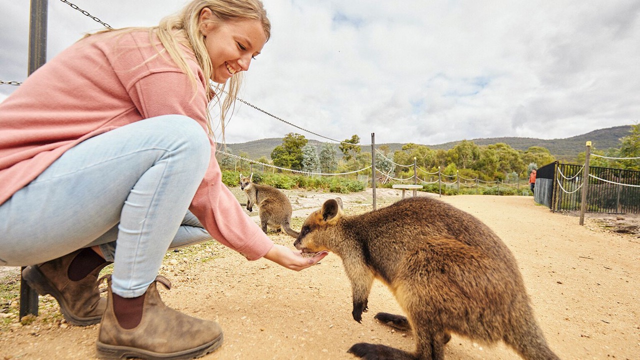 Photo of Others in Halls Gap