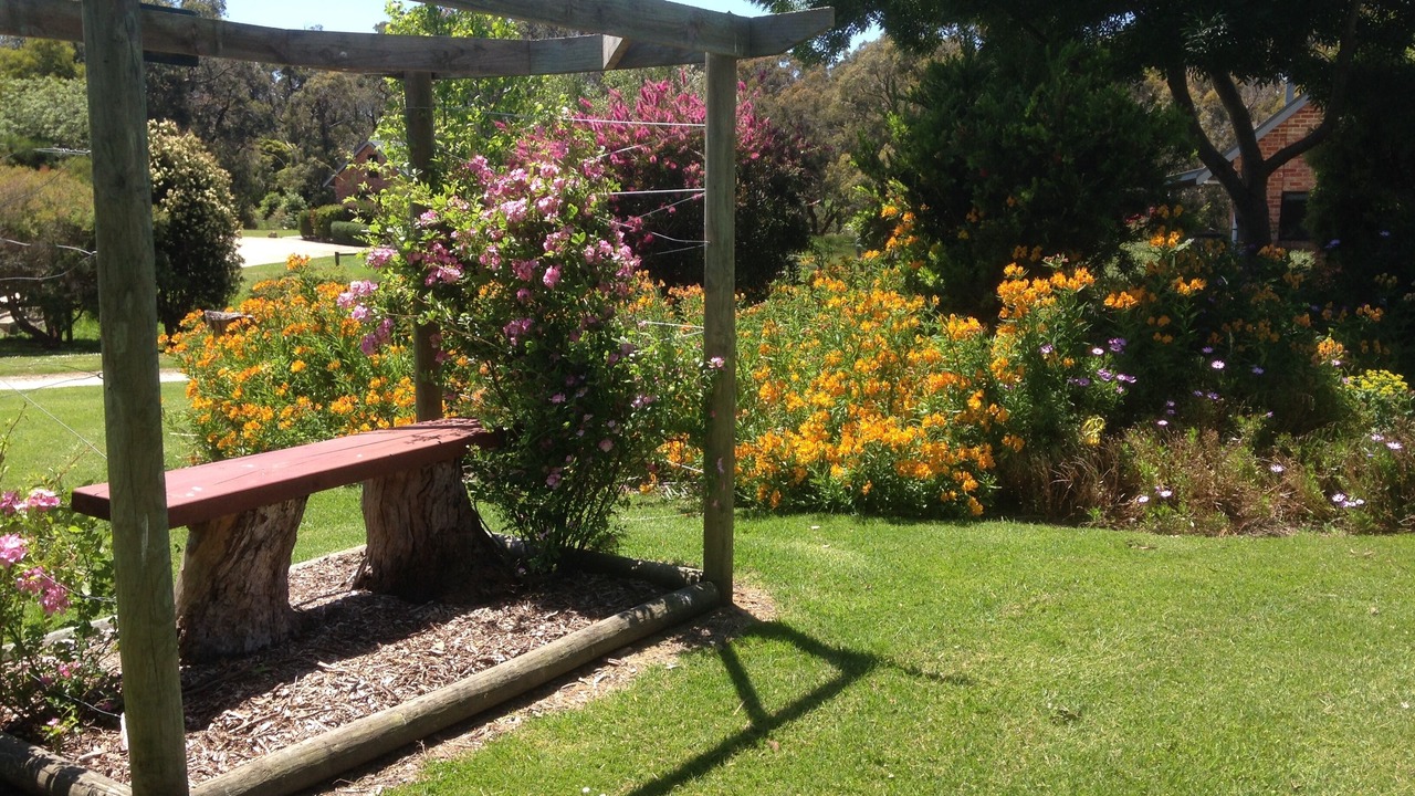Photo of Outdoor in Waratah North
