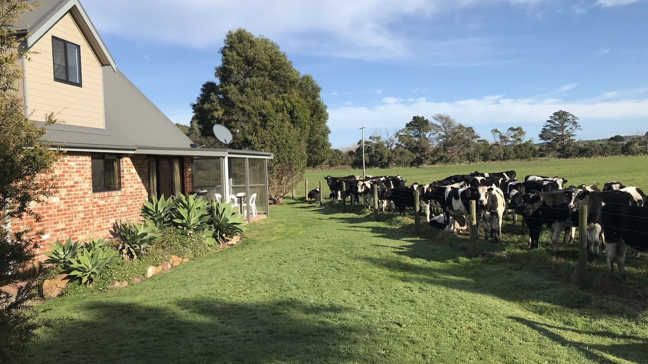 Photo of Outdoor in Waratah North