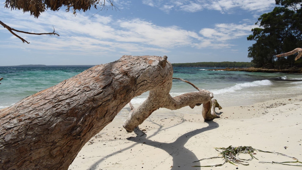 Photo of Others in Huskisson