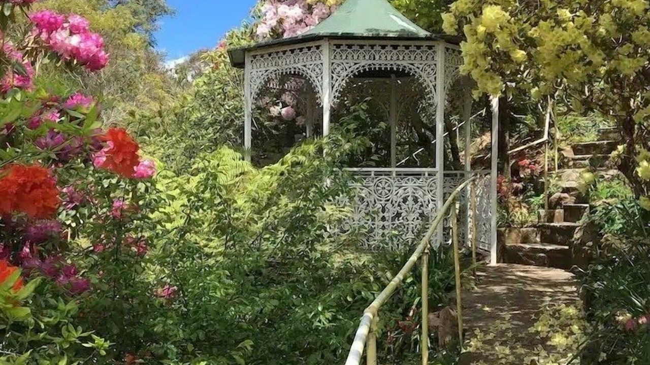 Photo of Outdoor in Katoomba