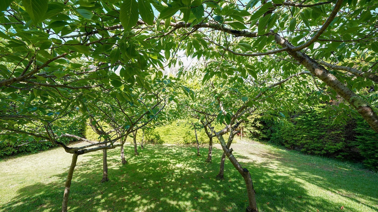 Photo of Outdoor in Port Fairy