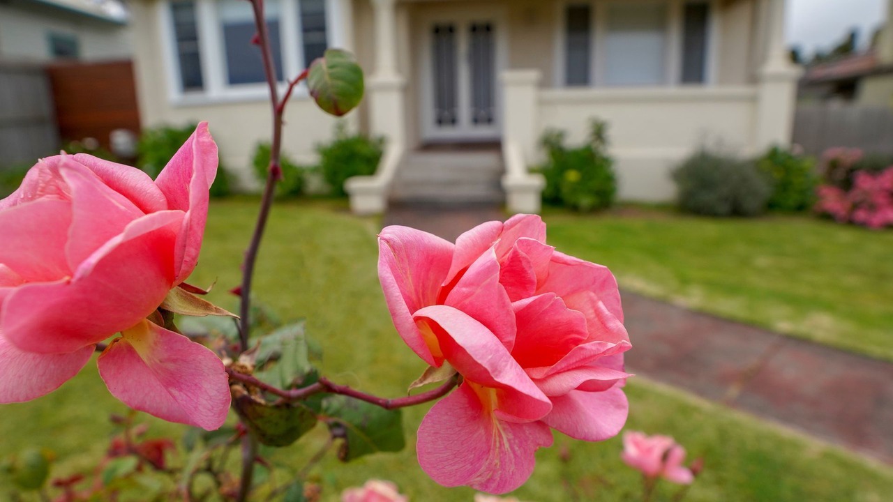 Photo of Outdoor in Warrnambool