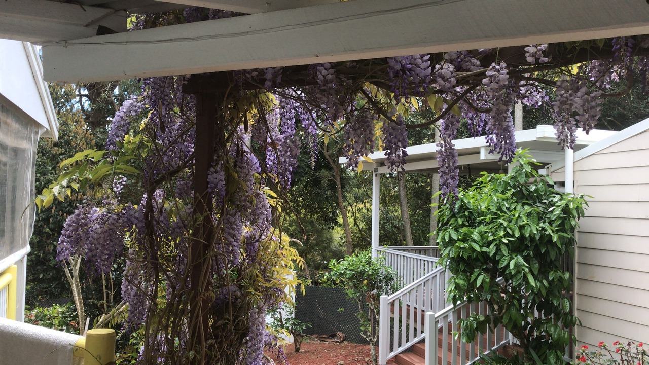 Photo of Outdoor in Eagle Heights