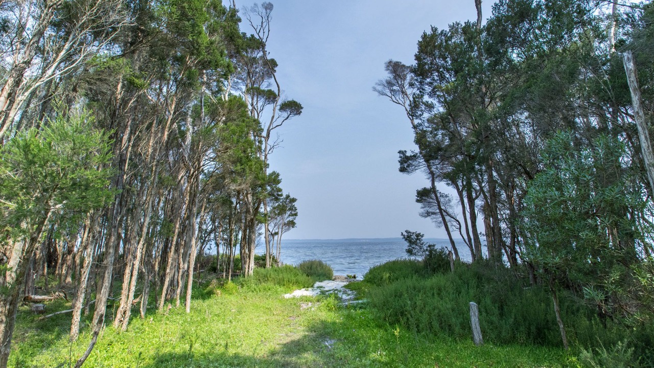 Photo of Outdoor in Forge Creek