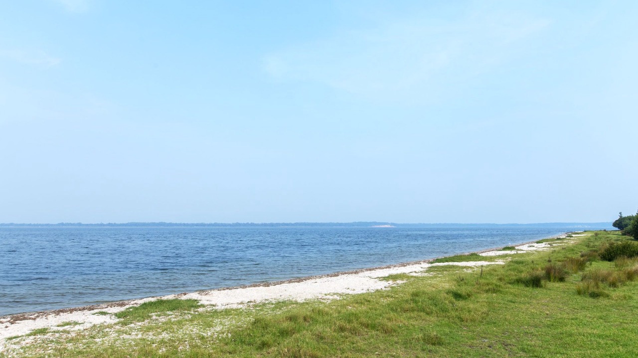 Photo of Others in Forge Creek