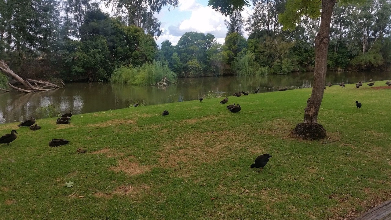 Photo of Outdoor in Central Mudgee