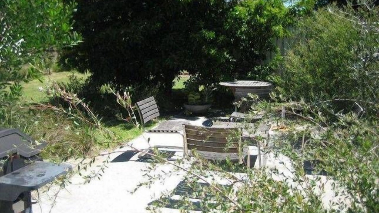 Photo of Outdoor in Budgewoi