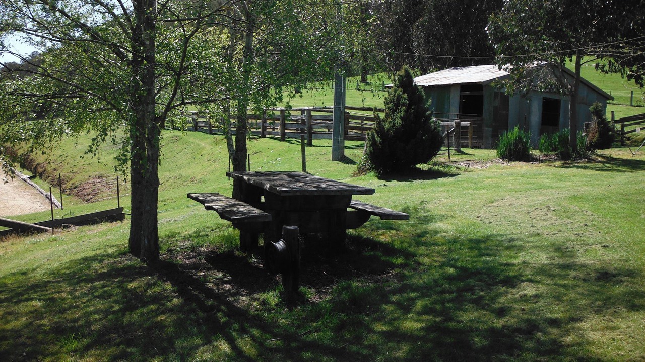 Photo of Outdoor in Freeburgh