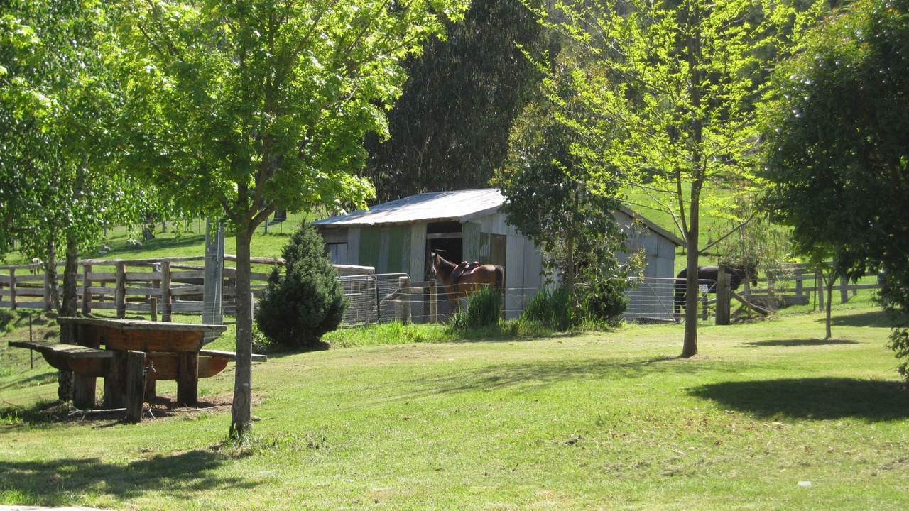 Photo of Outdoor in Freeburgh