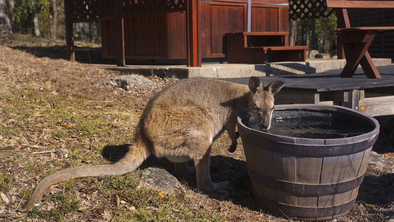 Photo of Others in Vacy