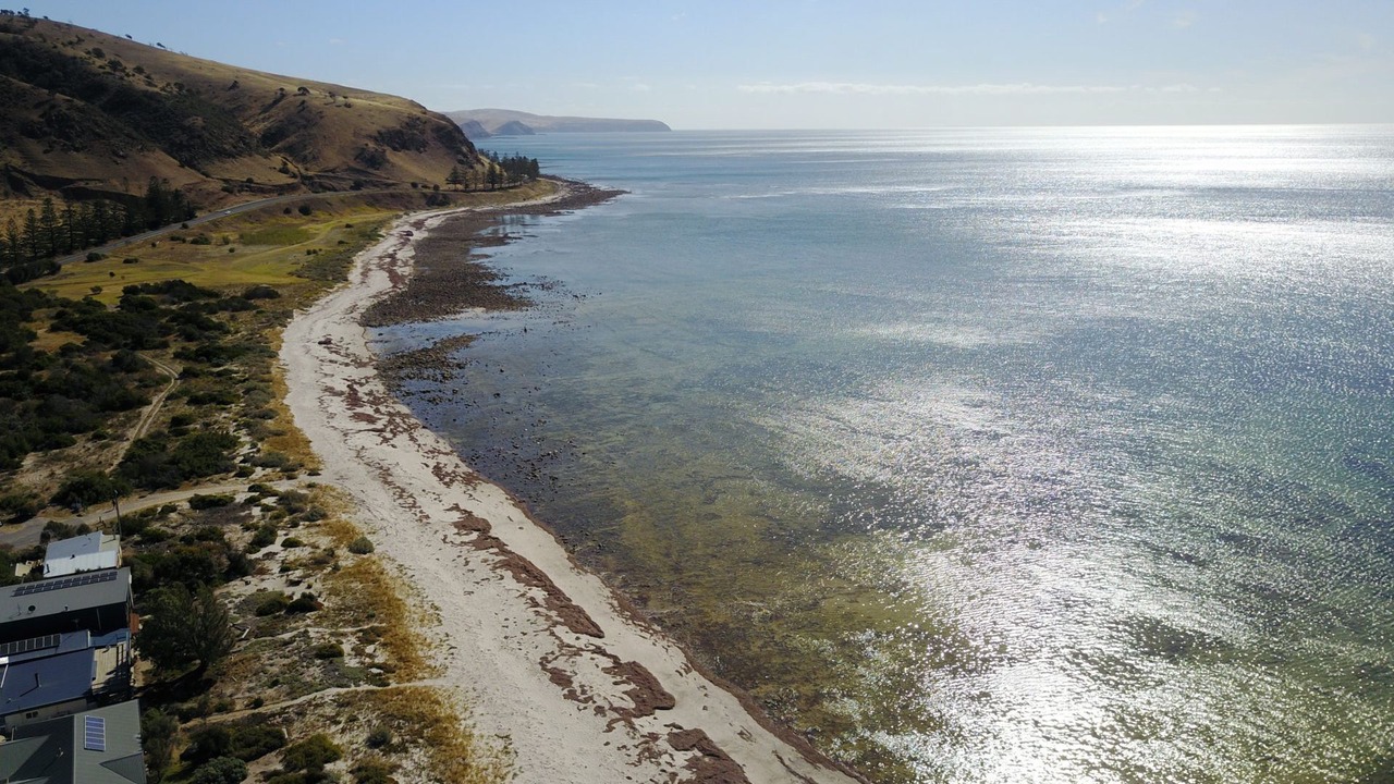Photo of Others in Normanville