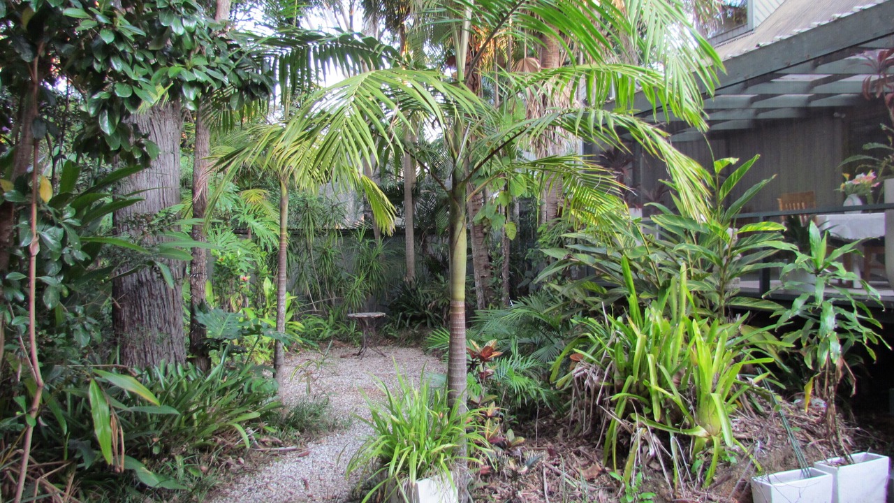 Photo of Outdoor in Emerald Beach