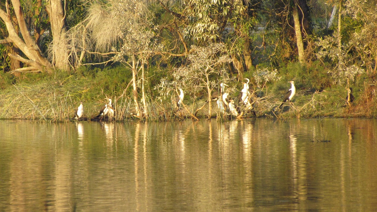 Photo of Outdoor in Emerald Beach