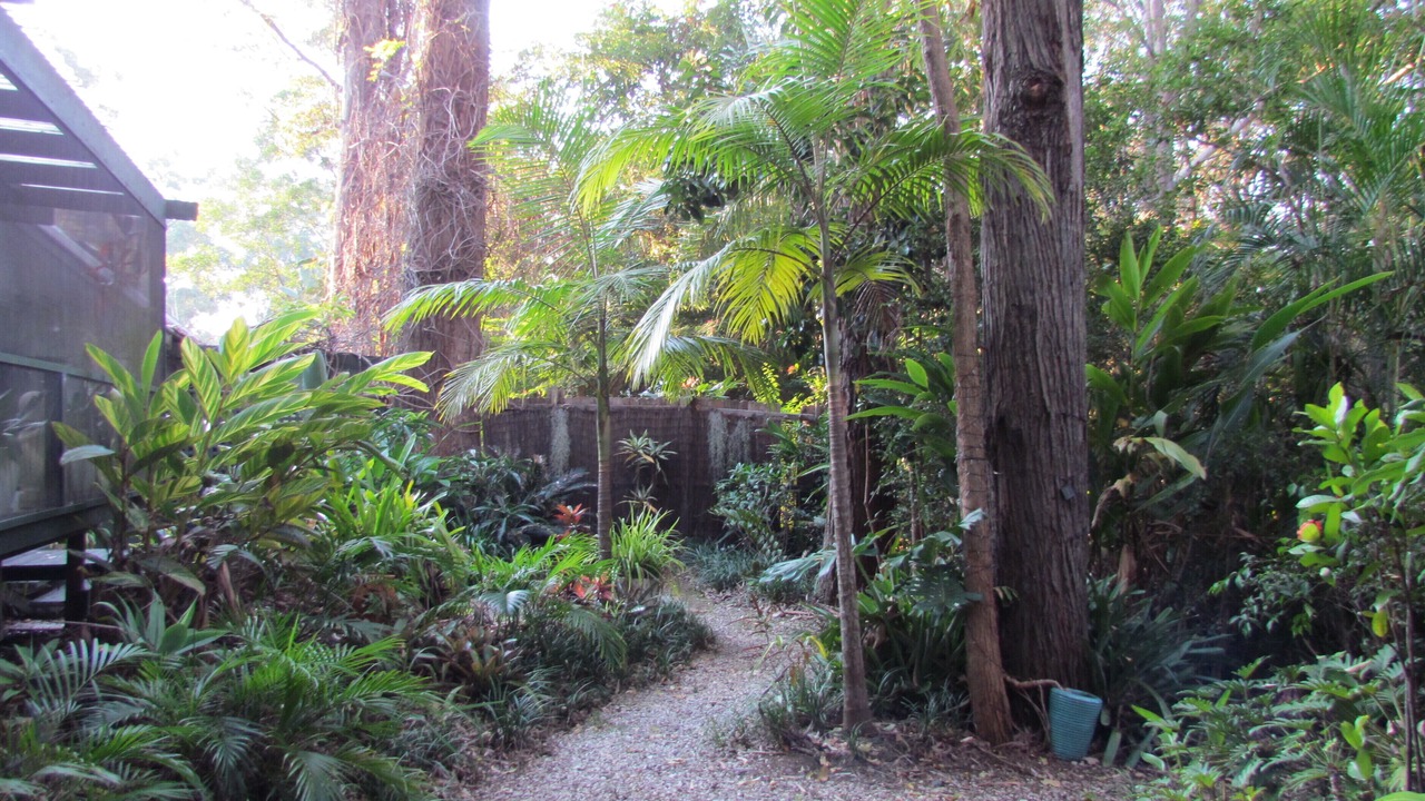 Photo of Outdoor in Emerald Beach