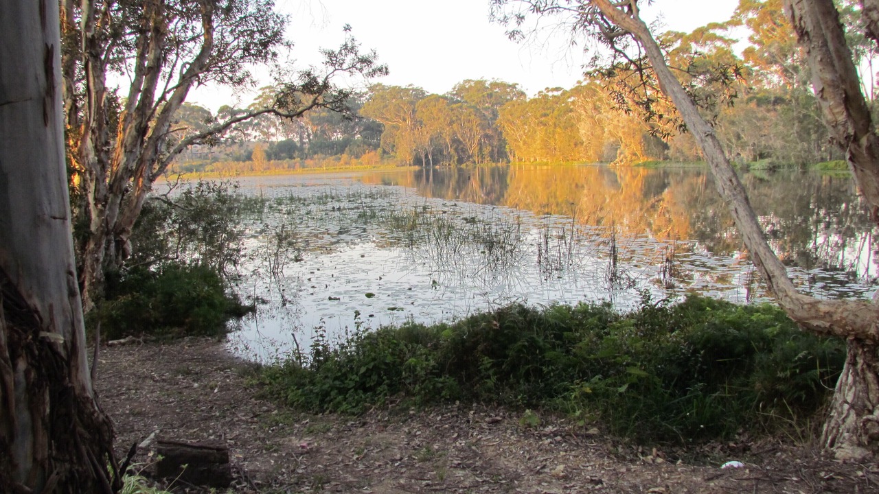 Photo of Outdoor in Emerald Beach