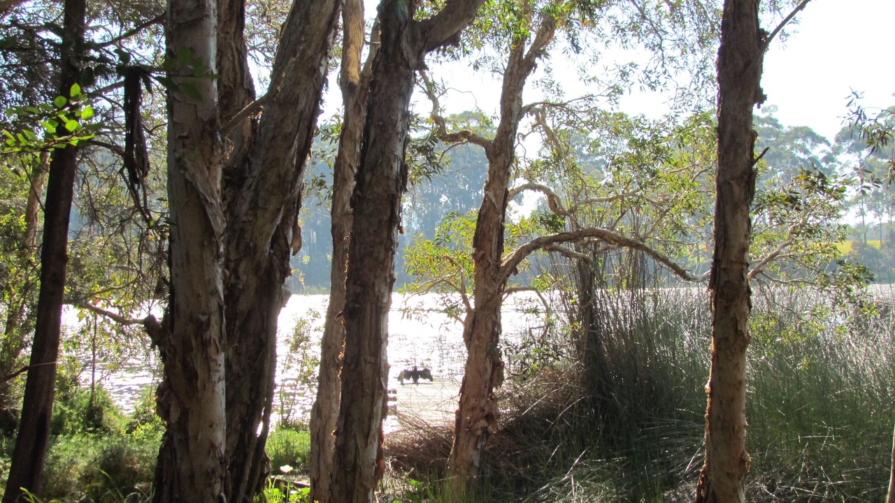 Photo of Outdoor in Emerald Beach