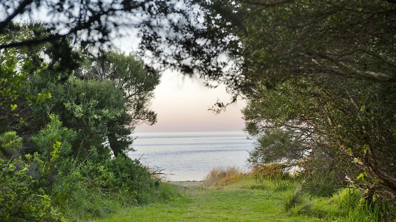 Photo of Others in Rye