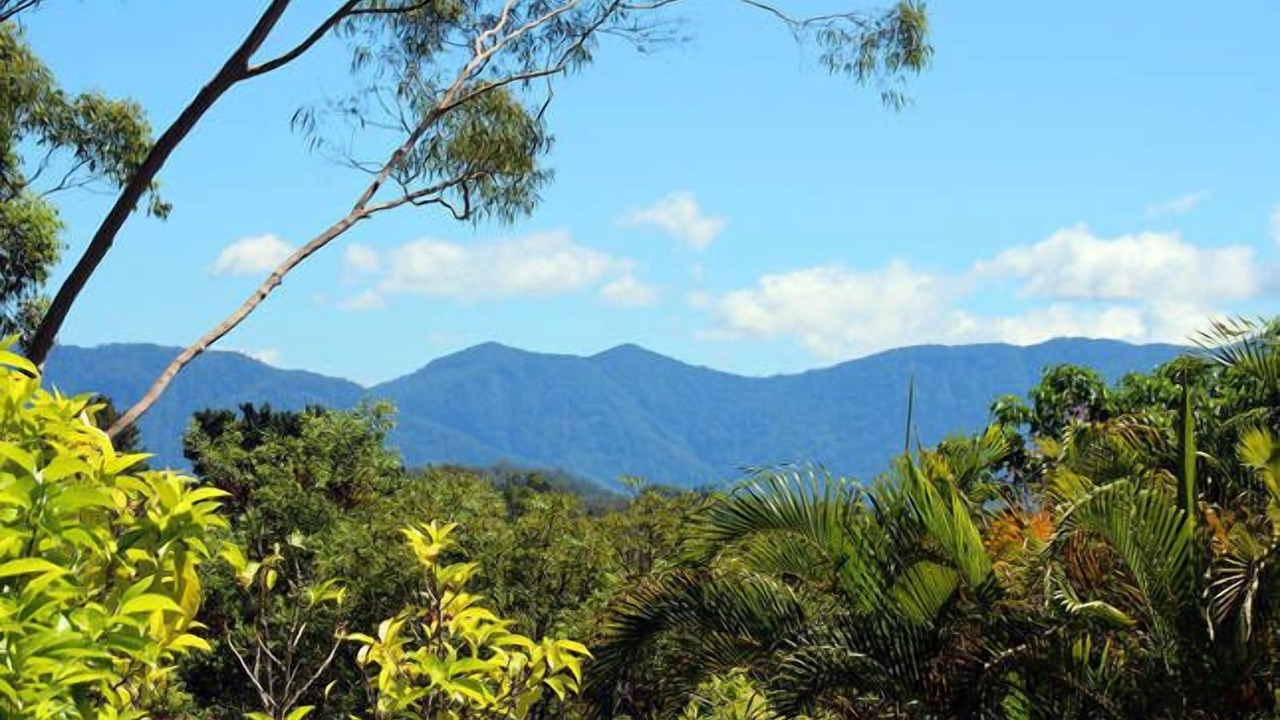 Photo of Outdoor in Bellingen