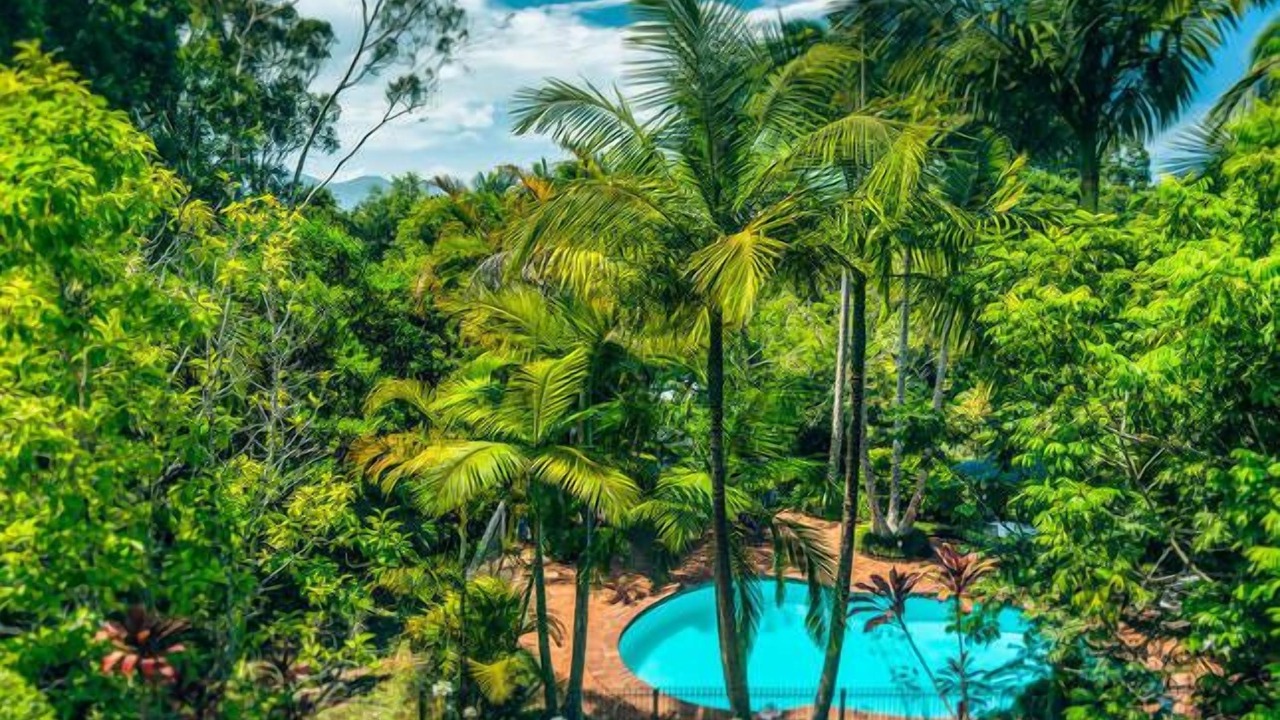 Photo of Outdoor in Bellingen
