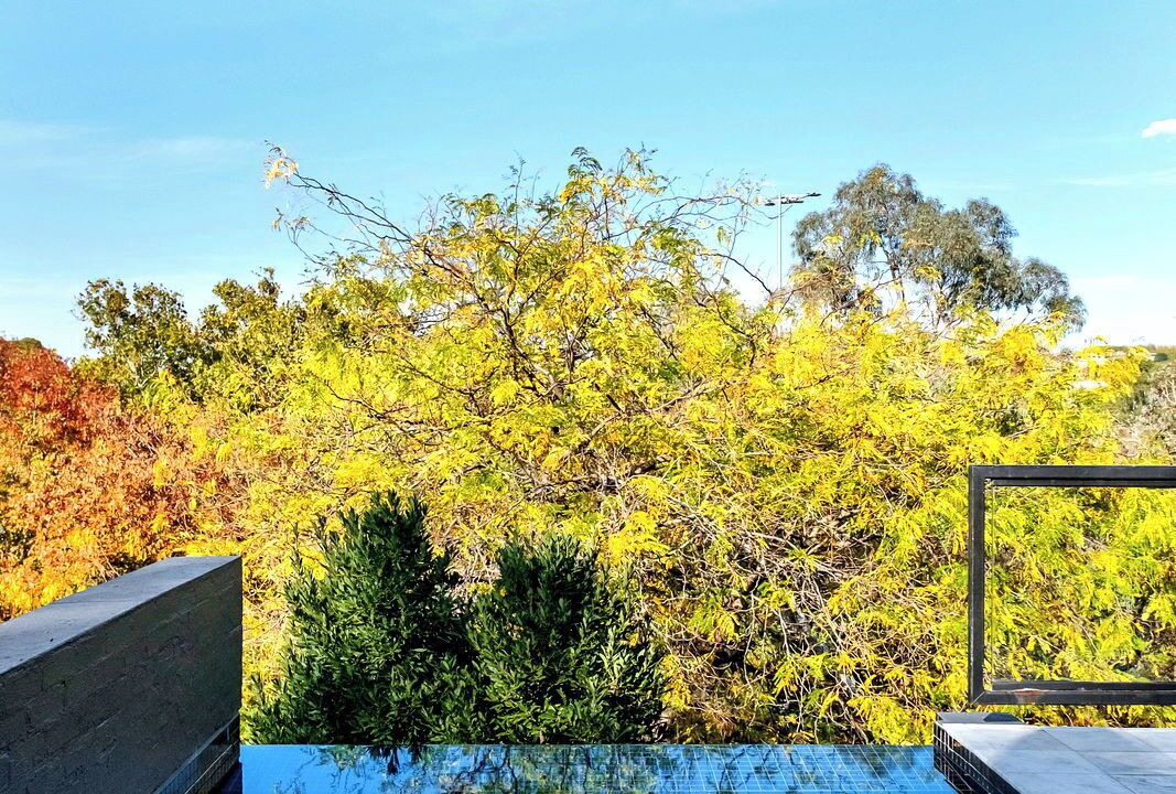 Photo of Outdoor in South Yarra