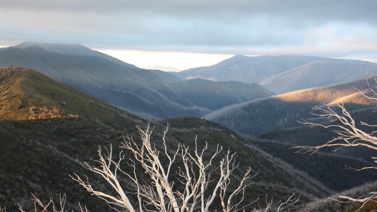 Photo of Outdoor in Harrietville