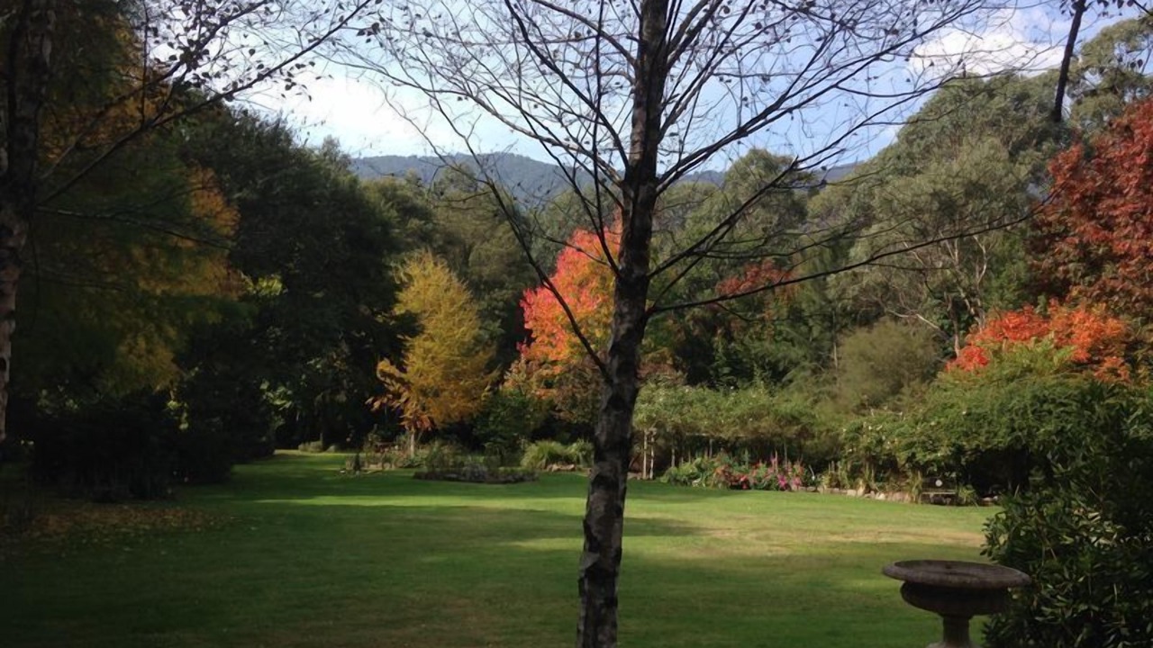 Photo of Outdoor in Harrietville