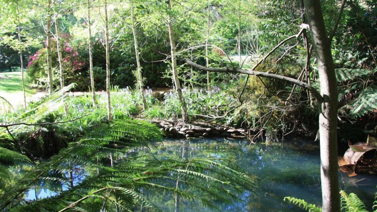 Photo of Outdoor in Harrietville
