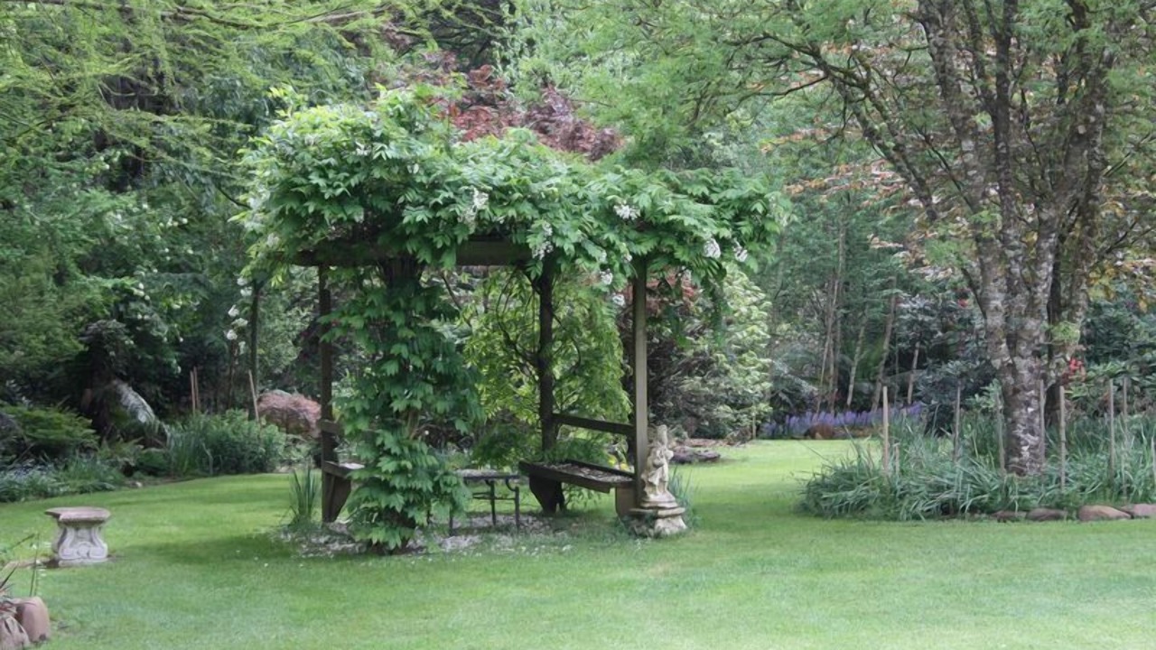 Photo of Outdoor in Harrietville