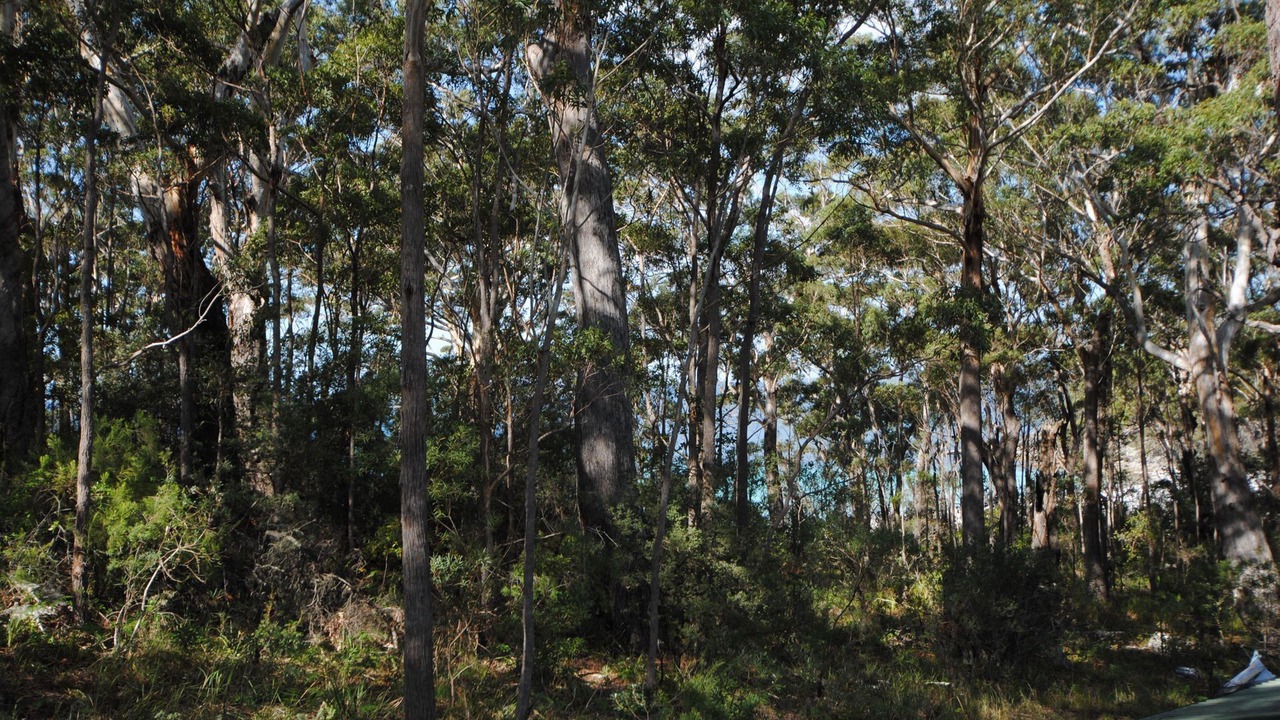 Photo of Outdoor in Vincentia