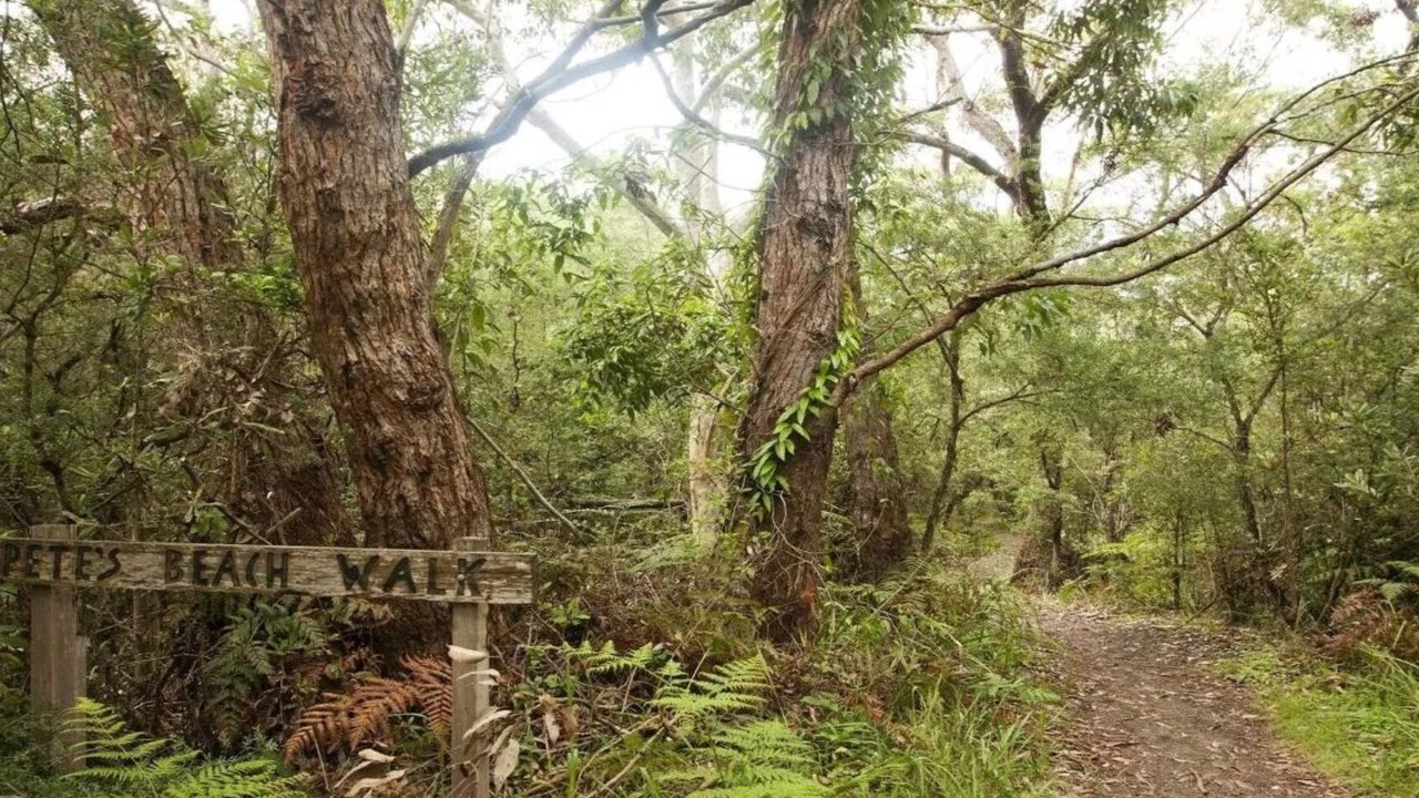Photo of Outdoor in Callala Beach