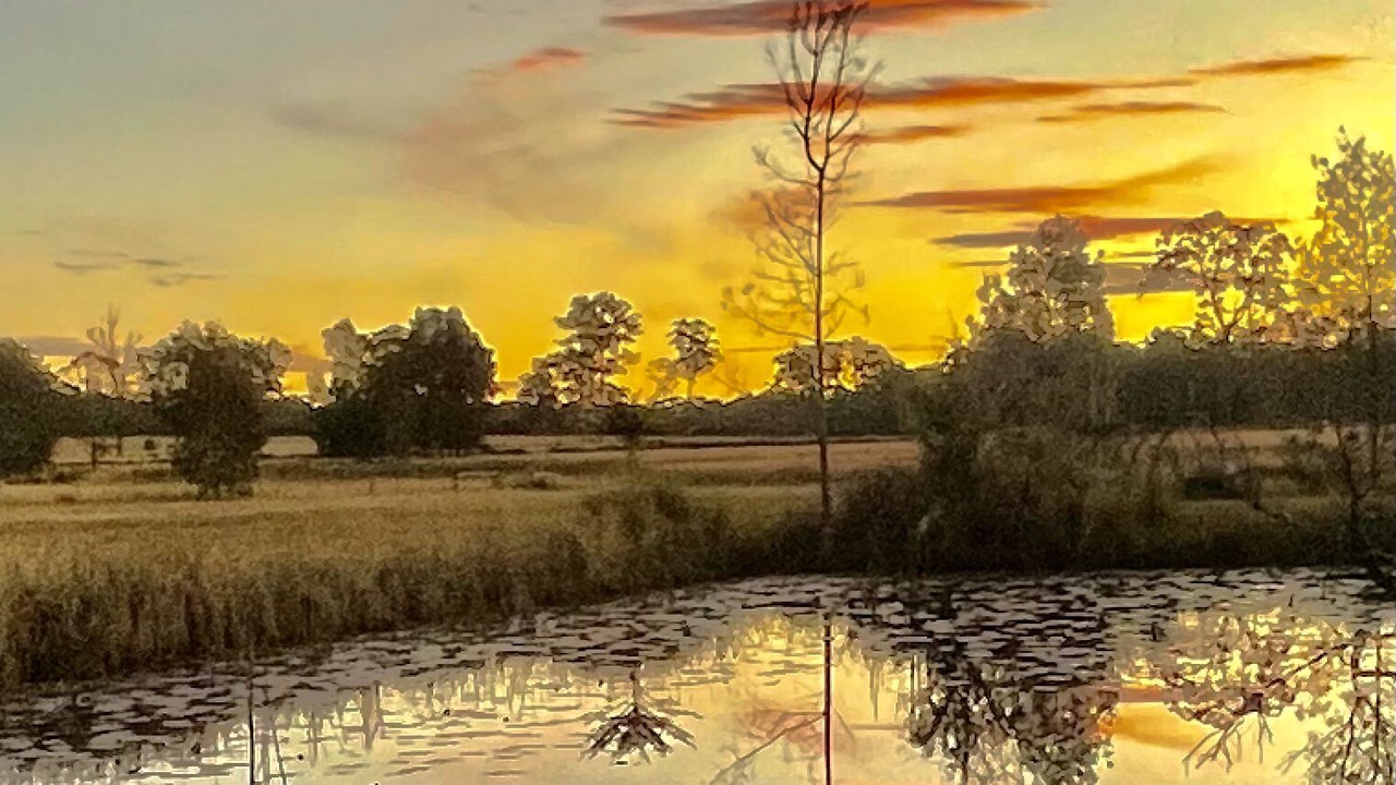 Photo of Outdoor in Redbank