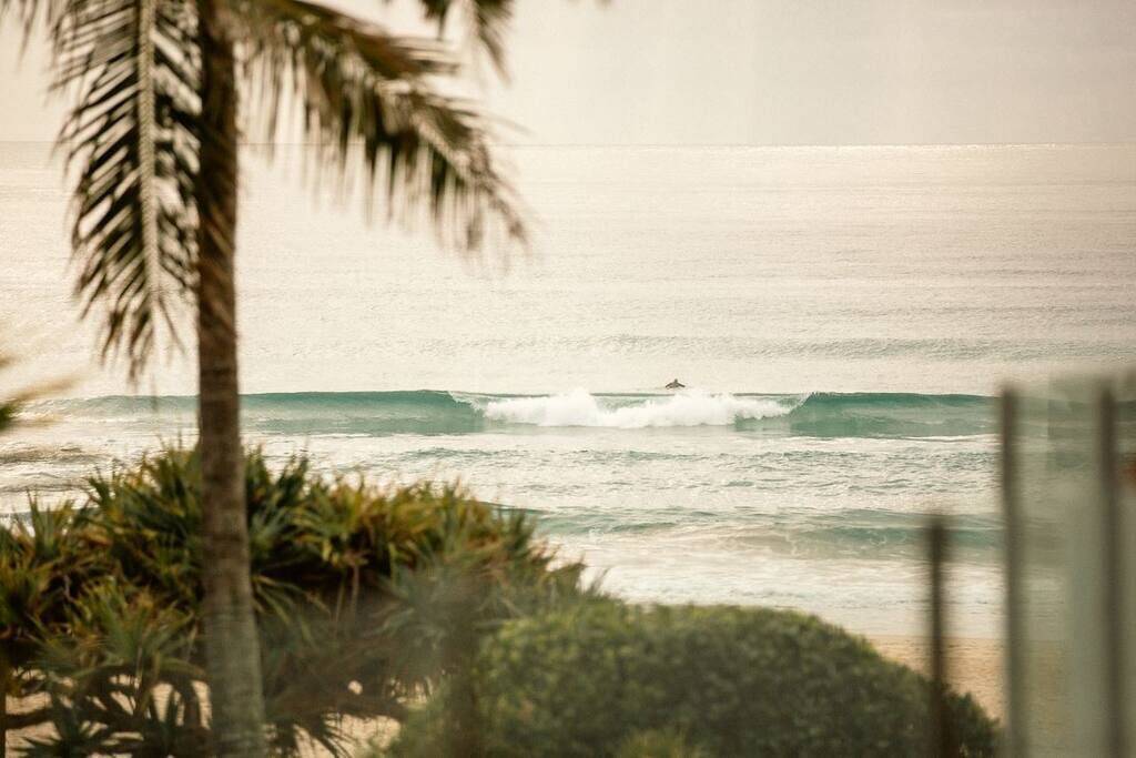 Photo of Others in Currumbin
