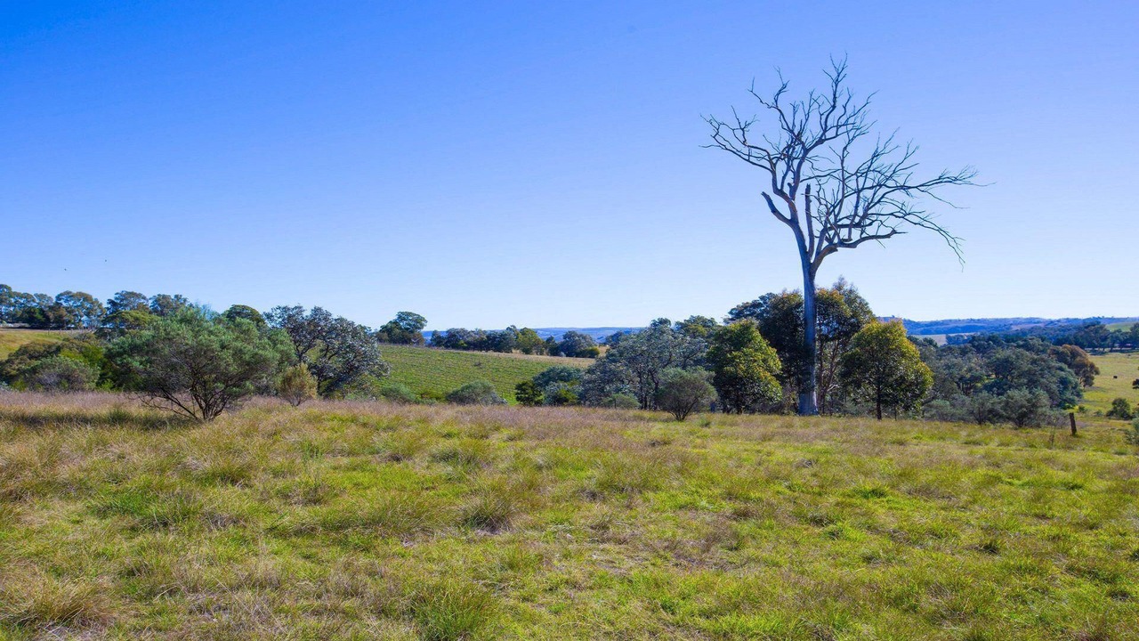 Photo of Outdoor in Canyonleigh