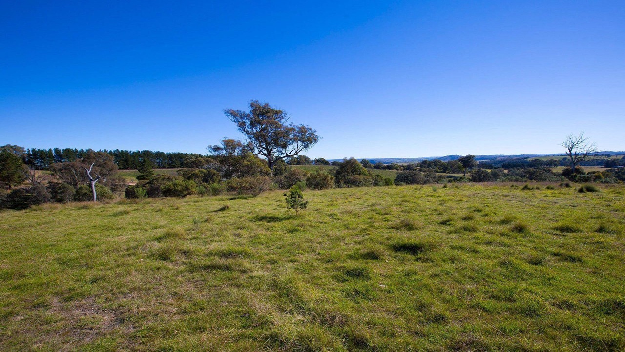 Photo of Outdoor in Canyonleigh